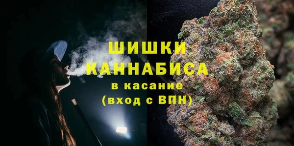 стафф Михайлов