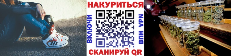 Шишки марихуана сатива  ОМГ ОМГ ссылка  Нестеров 